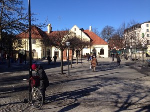 IMG_2556