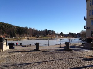 IMG_2567