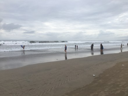 459084BE-4148-451B-90CF-3FBEC880A940