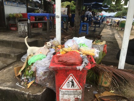 5FFE74A7-64D3-4EAA-B1D5-A9FC650D4E53