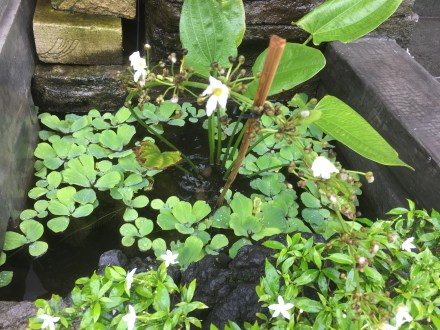 81EC4906-F1F7-4731-9101-096023D29DED