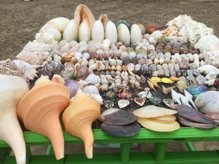 EF8B825F-212A-43B8-A9B7-6F898FC793C6