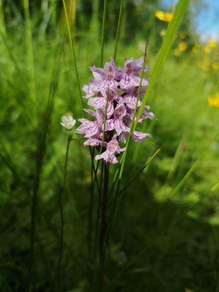 115708065_312860220091867_8752294929646366817_n