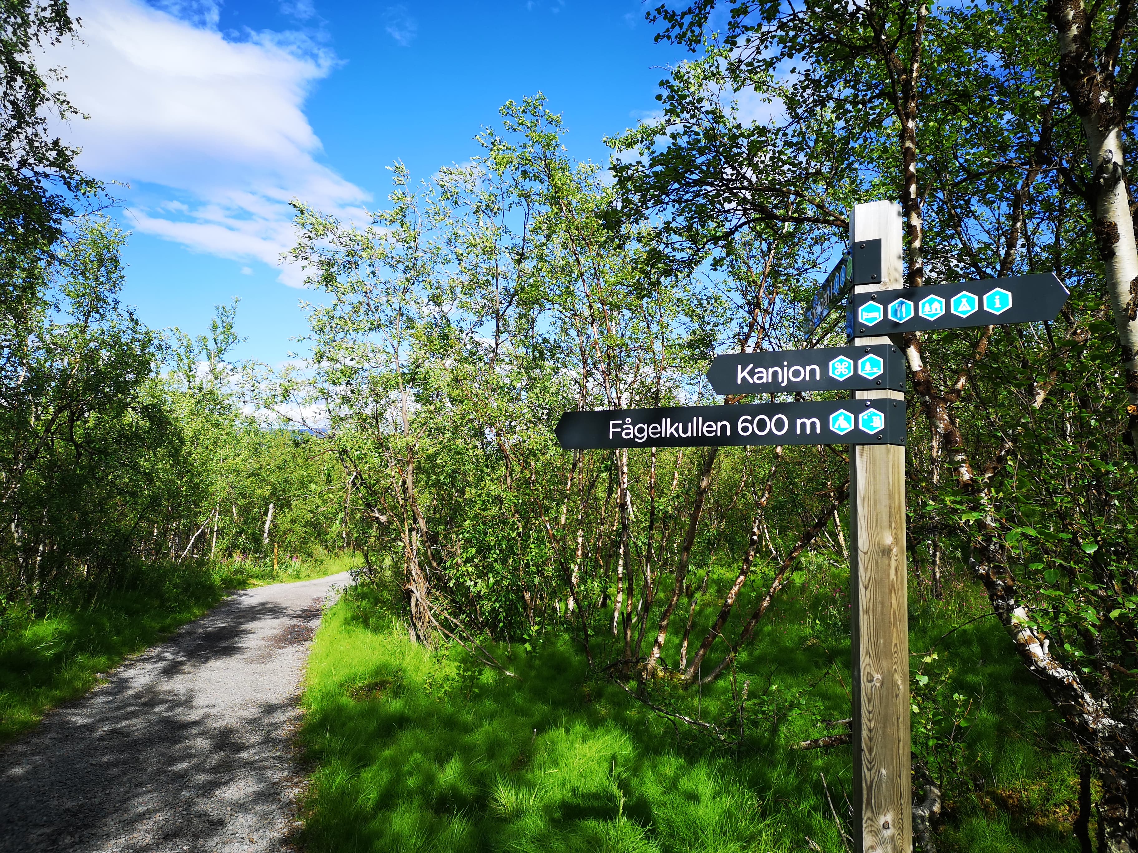 115731484_1012409345860185_1944036434563507492_n