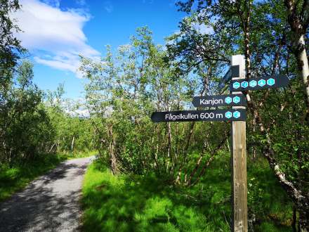 115731484_1012409345860185_1944036434563507492_n